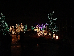 008 Toledo Zoo Light Show [2008 Dec 27]